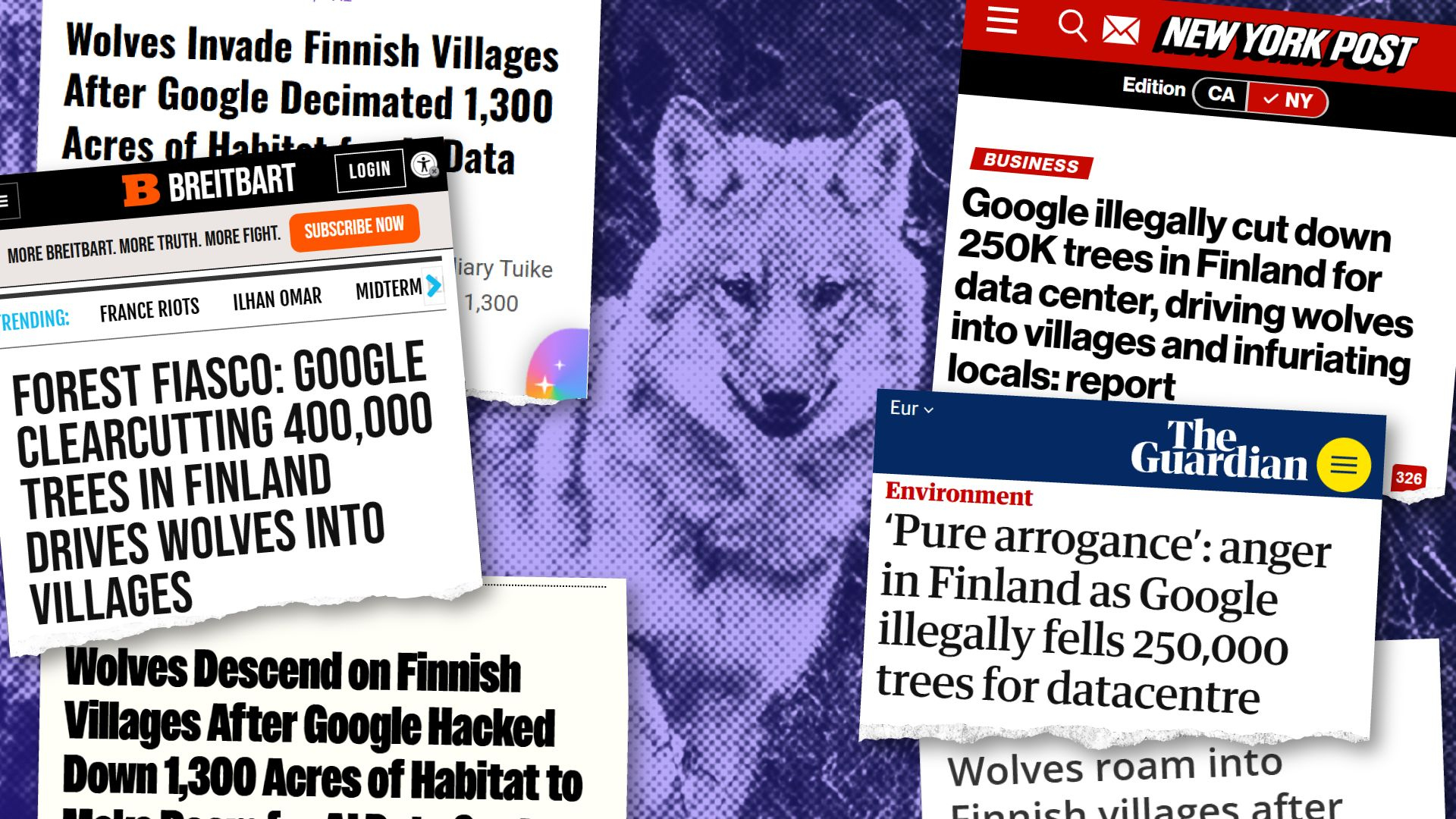 Maailmalla leviää väite, että Googlen hakkuut toivat sudet Otanmäen kylään – petotutkijan mukaan näin ei ole