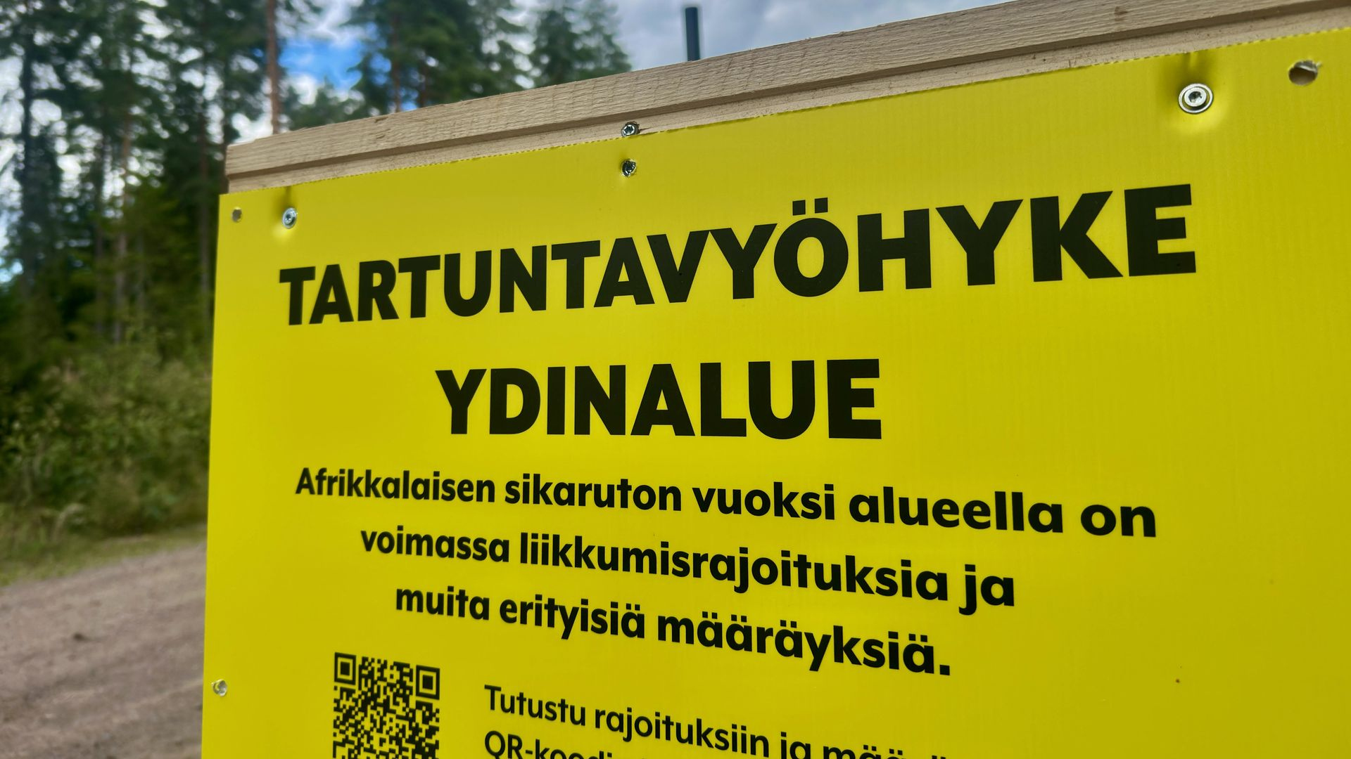 Afrikkalaisen sikaruton ydinalue laajenee Miehikkälässä ja Virolahdella