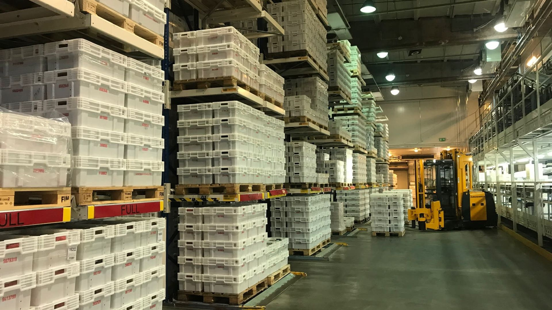Kiinalta kylmä suihku sianlihan viennille