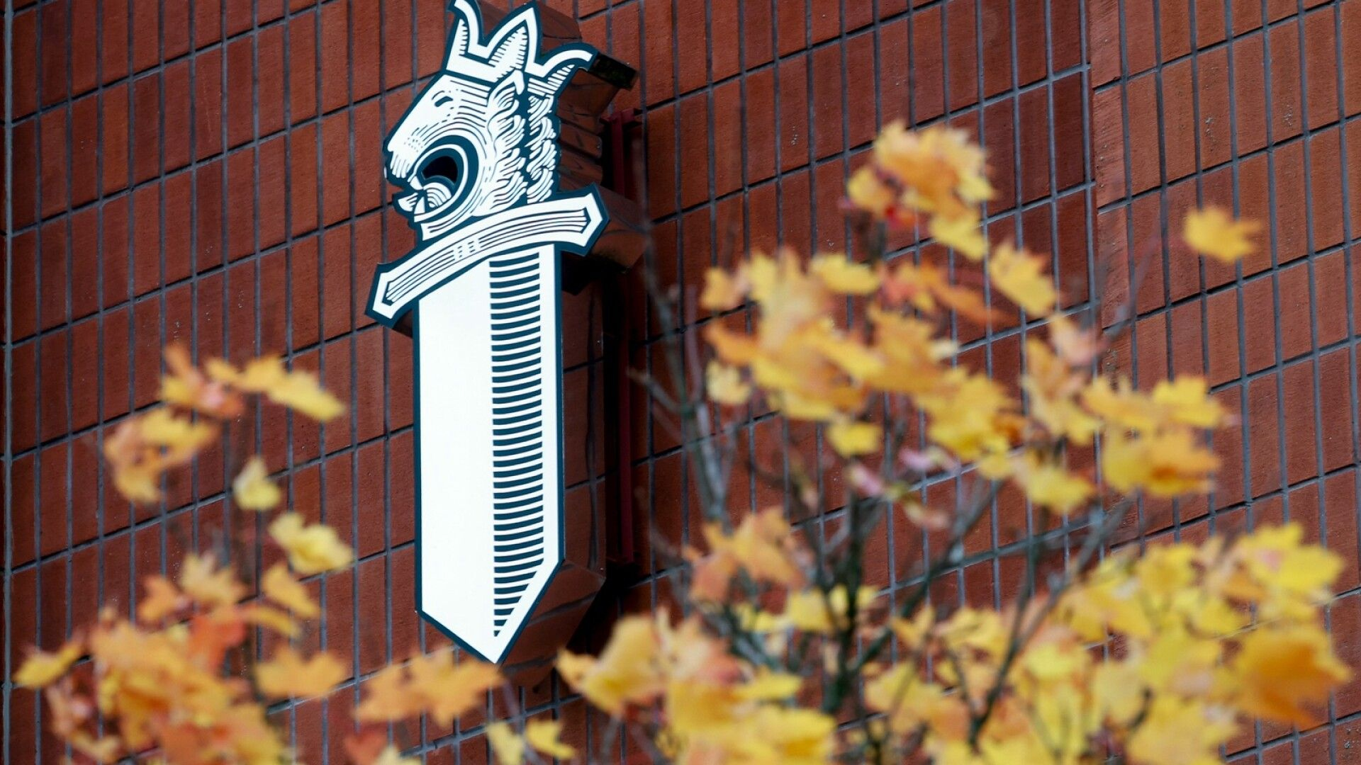 Poliisi tutkii laajaa paritusvyyhtiä Suomessa