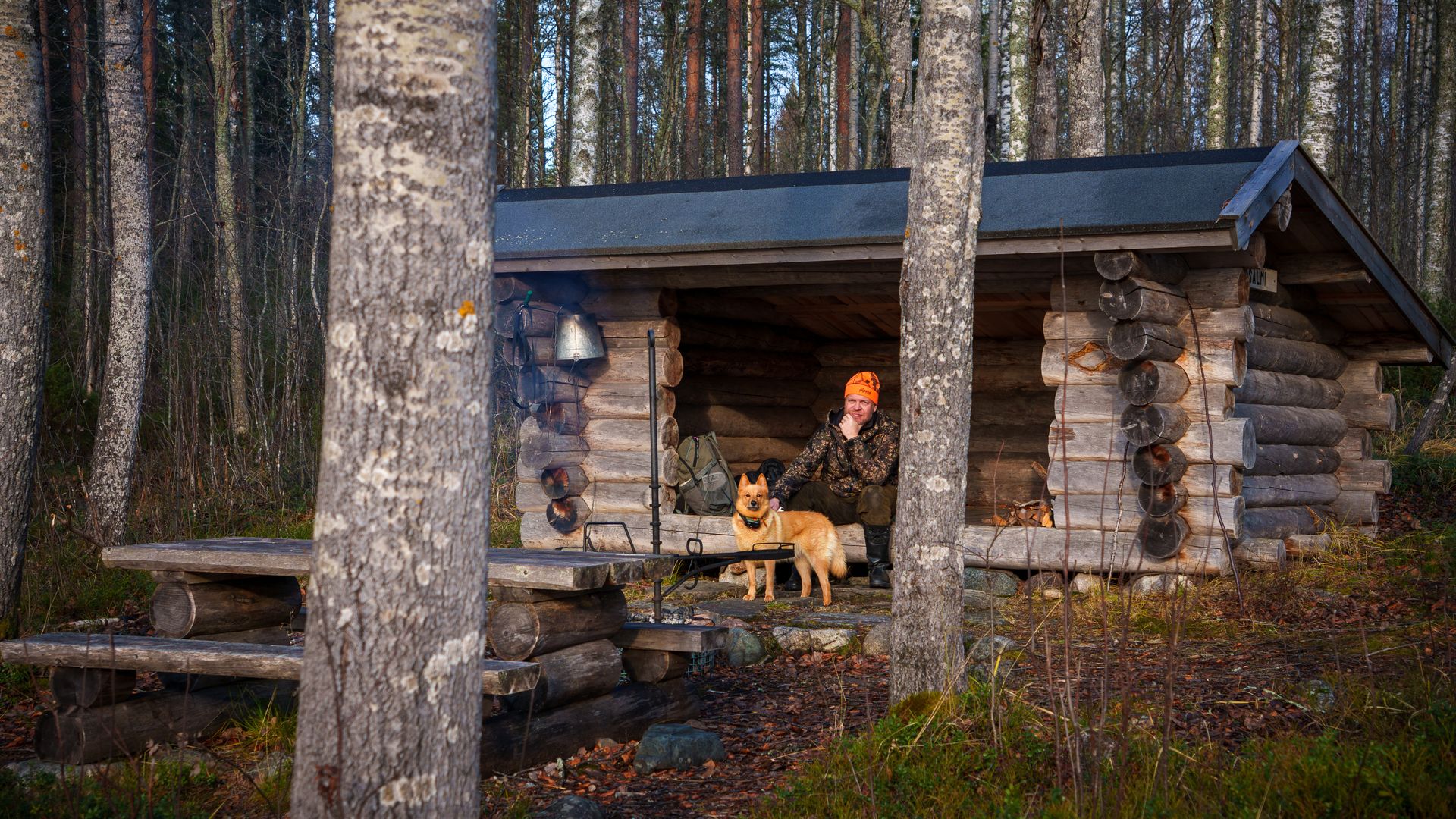 Kun Metsähallitus ei enää vienyt polttopuita, Markku Aittokoski vei jättikasan: ”Kyllä kainuulaisilla aina sen verran on”