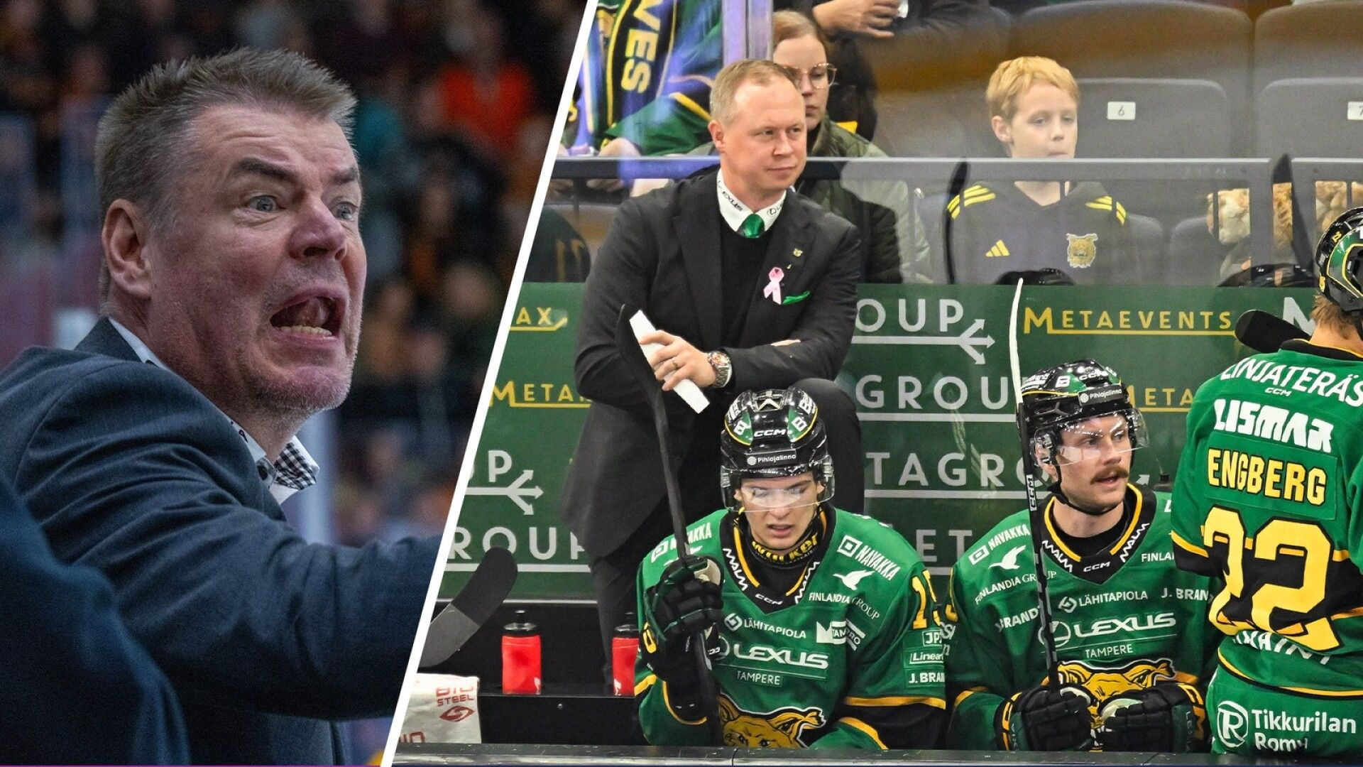Raimo Helminen Ilvekseen? Asiantuntijalta hurjaa puhetta